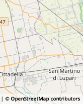 Elettrauto Cittadella,35019Padova