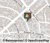 Abbigliamento,33054Udine