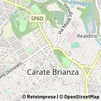 Map Carate Brianza