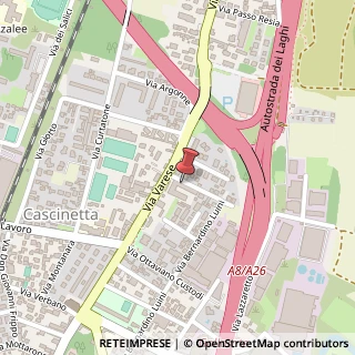 Mappa Via D. Crespi, 4, 21013 Gallarate, Varese (Lombardia)