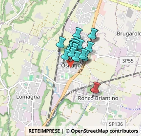 Mappa Via Trento, 23875 Osnago LC, Italia (0.4395)