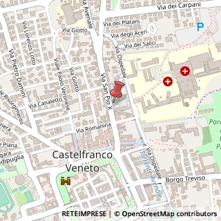 Mappa Via San Pio X, 36D, 31033 Castelfranco Veneto, Treviso (Veneto)