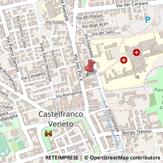 Mappa Via San Pio X, 38b, 31033 Castelfranco Veneto, Treviso (Veneto)