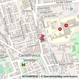 Mappa Via San Pio X, 32, 31033 Castelfranco Veneto, Treviso (Veneto)
