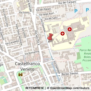 Mappa Via Ospedale, 31033 Castelfranco Veneto, Treviso (Veneto)