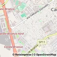 Map Carate Brianza