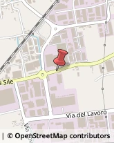 Via Sile, 32,31033Castelfranco Veneto