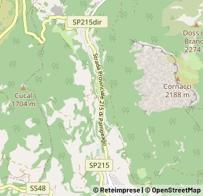 Mappa Strada Provinciale 215, 38038 Tesero TN, Italia (1.0625)