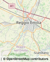 Agriturismi Reggio nell'Emilia,42123Reggio nell'Emilia