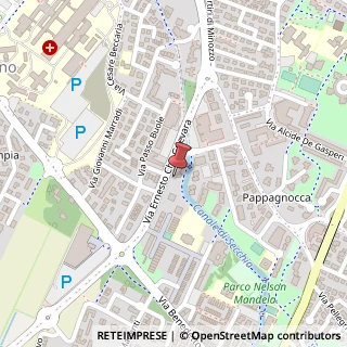 Mappa Via Ernesto Che Guevara, 18, 42123 Scandiano, Reggio nell'Emilia (Emilia Romagna)