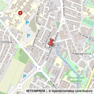 Mappa Via Passo Buole, 82/4, 42123 Correggio, Reggio nell'Emilia (Emilia Romagna)