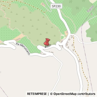 Mappa Via Castellinaldo, 14, 12050 Treiso, Cuneo (Piemonte)