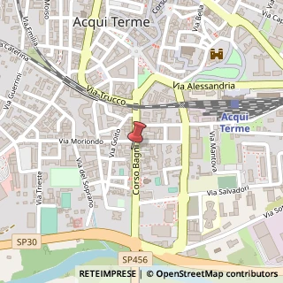 Mappa Corso Bagni, 102, 15011 Acqui Terme, Alessandria (Piemonte)