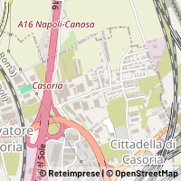 Map Casoria