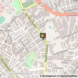 Logopedia,80144Napoli
