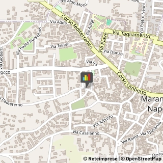 Piante e Fiori - Dettaglio Marano di Napoli,80016Napoli