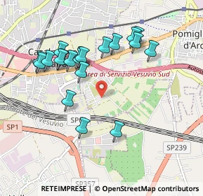 Mappa Via Ruggero Leoncavallo, 80038 Pomigliano d'Arco NA, Italia (1.0115)