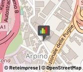 Feste - Organizzazione e Servizi,80026Napoli