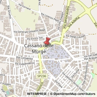 Mappa Via Vittorio Veneto, 26, 70020 Cassano delle Murge, Bari (Puglia)