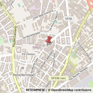 Mappa Viale Evangelista Torricelli, 103, 80020 Casavatore, Napoli (Campania)