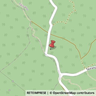 Mappa Via Chiesa Conservatorio, 22, 83020 Avella, Avellino (Campania)