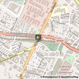 Alimenti Surgelati - Dettaglio Napoli,80145Napoli