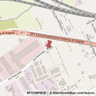 Mappa Via Palazziello, Snc, 80040 Volla, Napoli (Campania)
