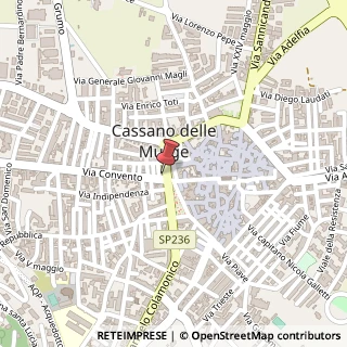 Mappa Via Vittorio Emanuele III, 24A, 70020 Cassano delle Murge, Bari (Puglia)