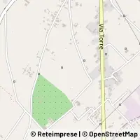 Map Saviano