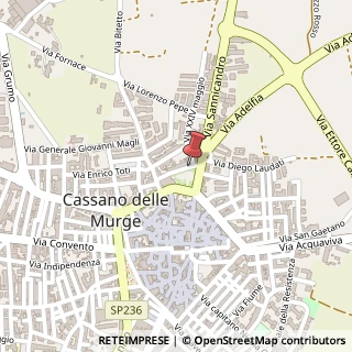 Mappa Piazza Dante Alighieri, 19, 70020 Cassano delle Murge, Bari (Puglia)