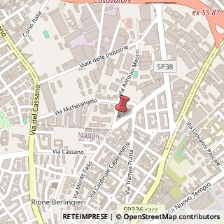 Mappa Viale Evangelista Torricelli, 64, 80020 Boscoreale, Napoli (Campania)