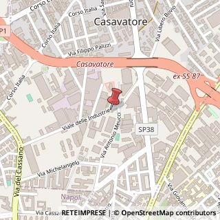 Mappa Viale delle Industrie, 42, 80020 Casavatore, Napoli (Campania)