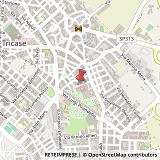 Mappa Via Riccardo Rubichi,  36, 73039 Tricase, Lecce (Puglia)