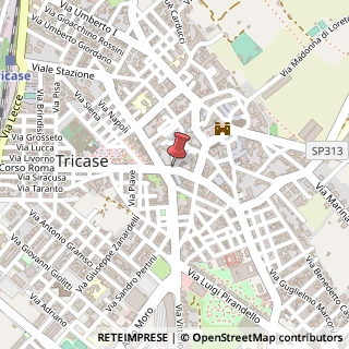 Mappa Via Domenico Caputo, 28, 73039 Tricase, Lecce (Puglia)