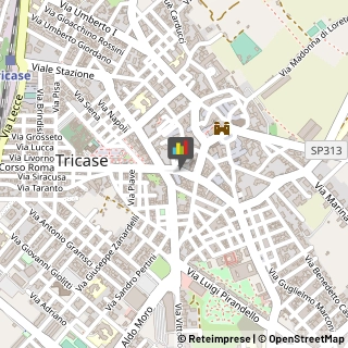 Agenzie Immobiliari Tricase,73039Lecce
