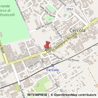 Mappa Corso D. Riccardi, 24, 80040 Cercola, Napoli (Campania)