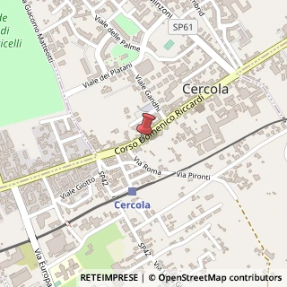 Mappa Corso D. Riccardi, 283, 80040 Cercola, Napoli (Campania)