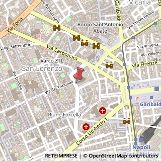 Mappa Via Concezio Muzy, 51, 80131 Napoli, Napoli (Campania)