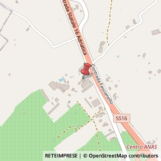 Mappa Strada Statale 16, Km 855.500, 72015 Fasano, Brindisi (Puglia)