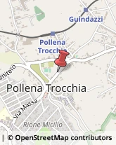 Corso Umberto I, 38,80040Pollena Trocchia