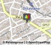 Cardiologia - Medici Specialisti,80044Napoli