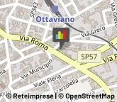 Tour Operator e Agenzia di Viaggi,80044Napoli