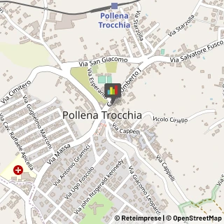 Zootecnia - Prodotti Pollena Trocchia,80040Napoli