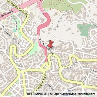 Mappa Via Pontetti Sanseverino, 10/Bis, 80143 Napoli, Napoli (Campania)