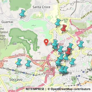 Mappa Via Vicinale Camaldolilli, 80126 Napoli NA, Italia (1.2755)