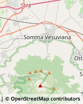 Tour Operator e Agenzia di Viaggi Somma Vesuviana,80049Napoli