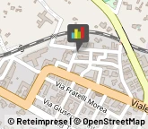 Dietologia - Medici Specialisti,70017Bari