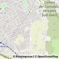 Harita Napoli