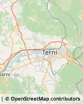 Vivai Piante e Fiori Terni,05100Terni