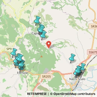 Mappa SP 29, 05035 Narni TR, Italia (2.9855)